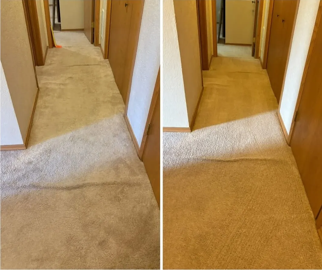 Revive & Thrive Carpet Care