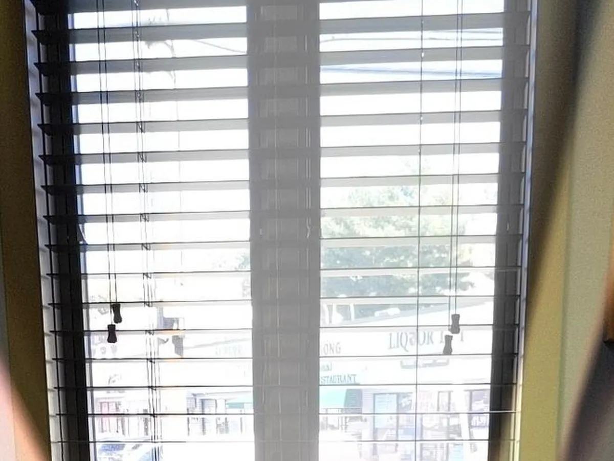 Richard N. Piro, D.D.S.