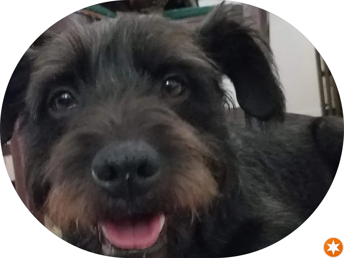 Richard's Laundromat photo 5