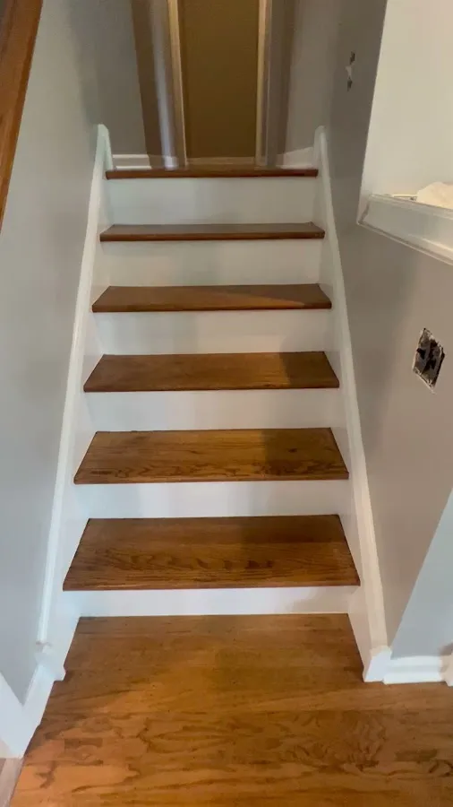 Richard's Painting of Magnolia photo 3