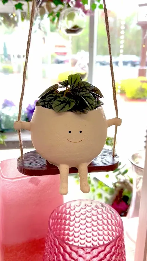 Richardson's Flowers photo 4