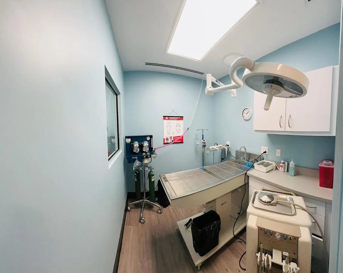 Ridgecrest Animal Hospital