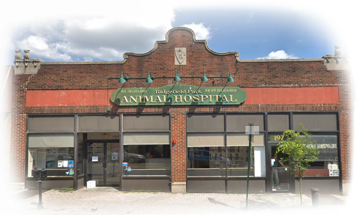 Ridgefield Park Animal Hospital photo 2