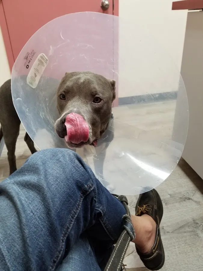 Ridgefield Park Animal Hospital photo 5