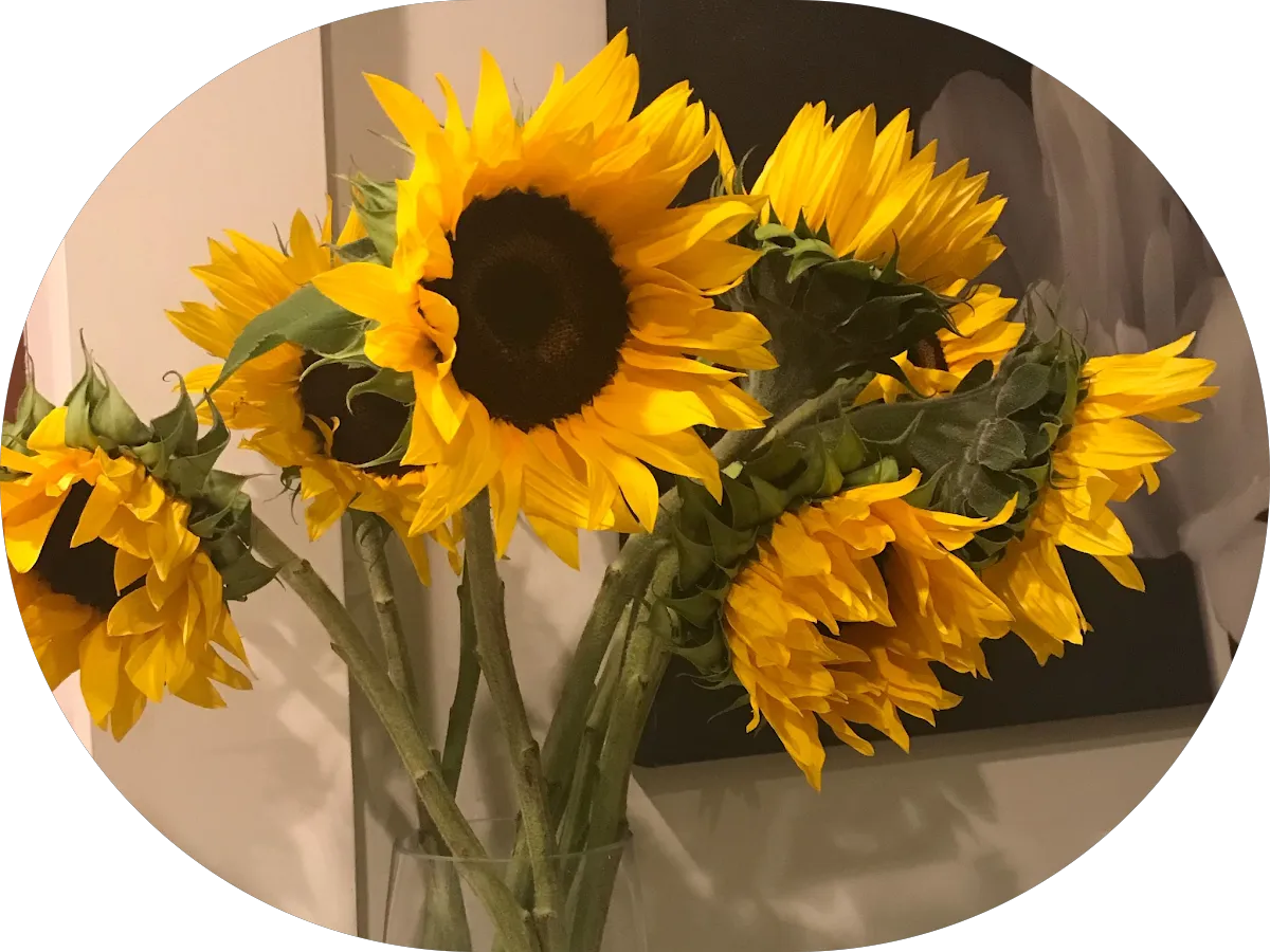 Rivertown Laundromat photo 3