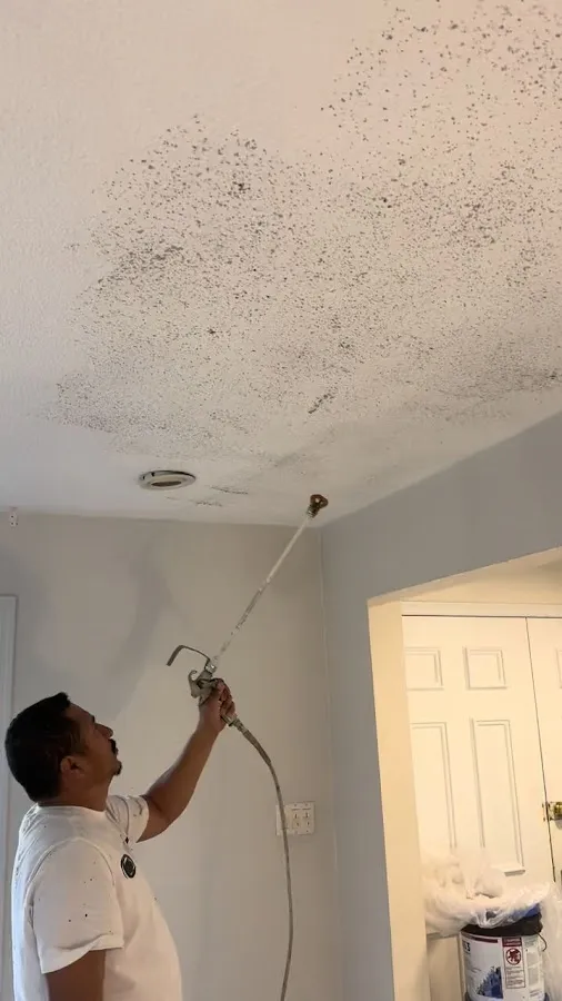 RM Painting & Powerwashing photo 3