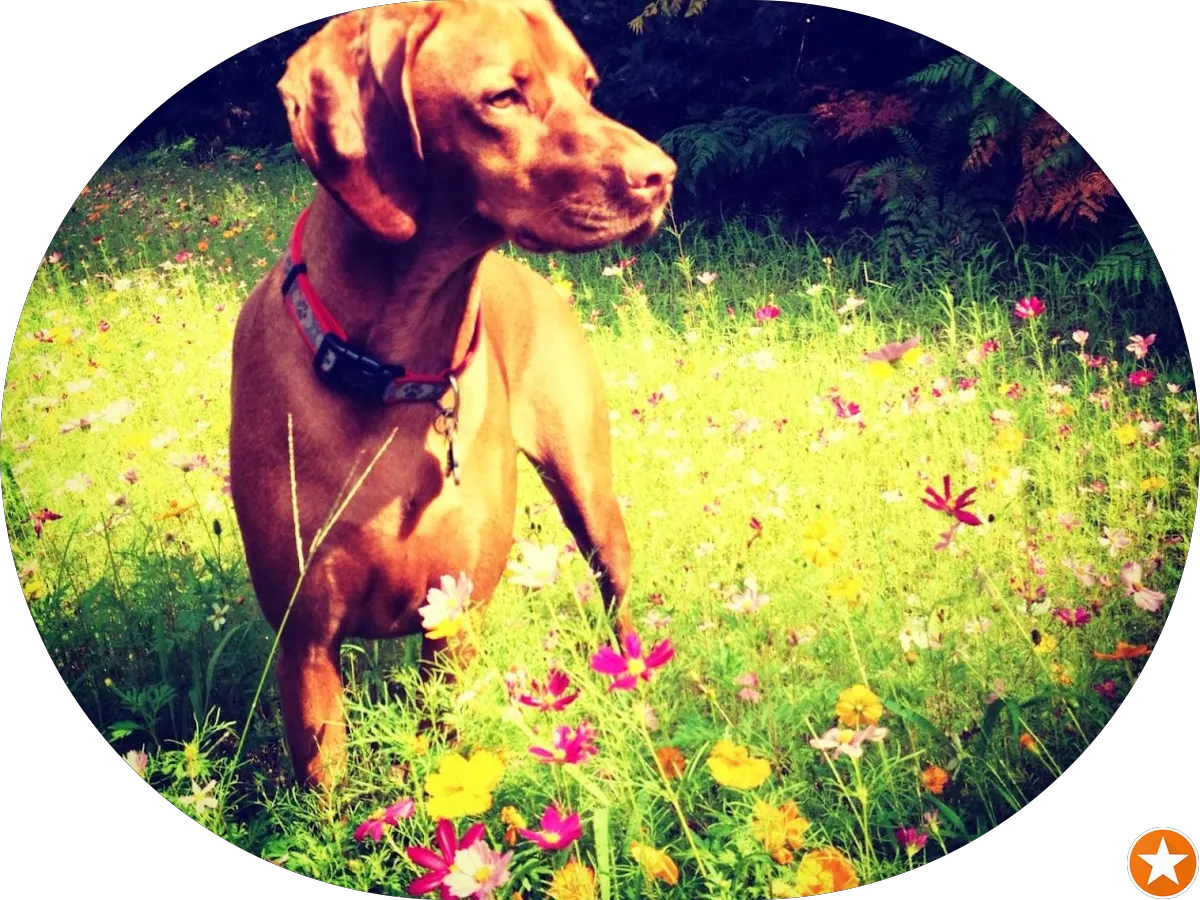 Robert A. Loefflad, Esquire, of KingBarnes, LLC photo 5