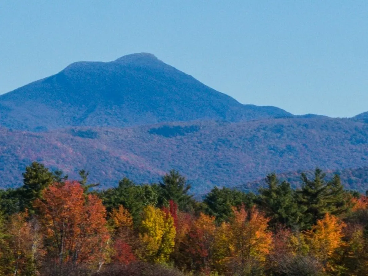 Rock Point Advisors photo 3