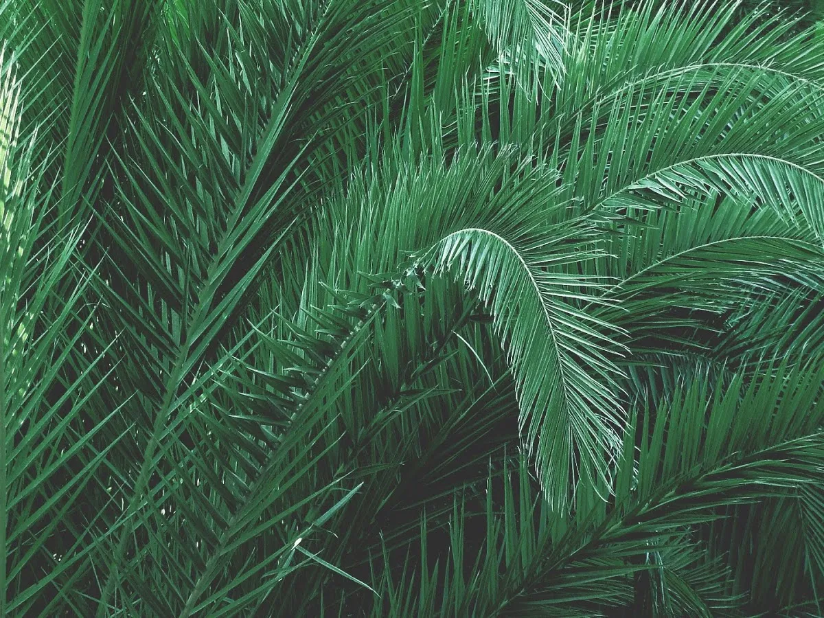 Rocket-9 Marketing Agency photo 5