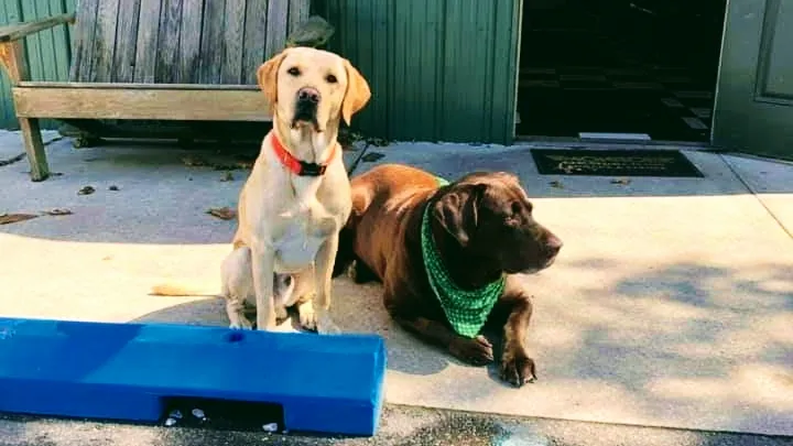 Rodney & Son Auto Repair