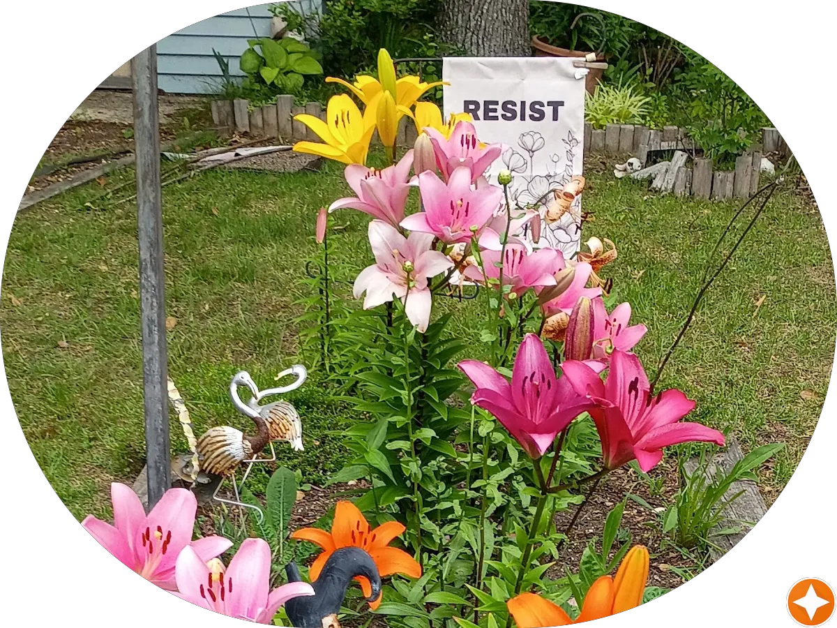 Rod's Reno LLC photo 5