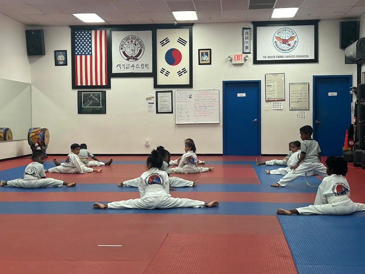 Roman's Shin Karate Institute