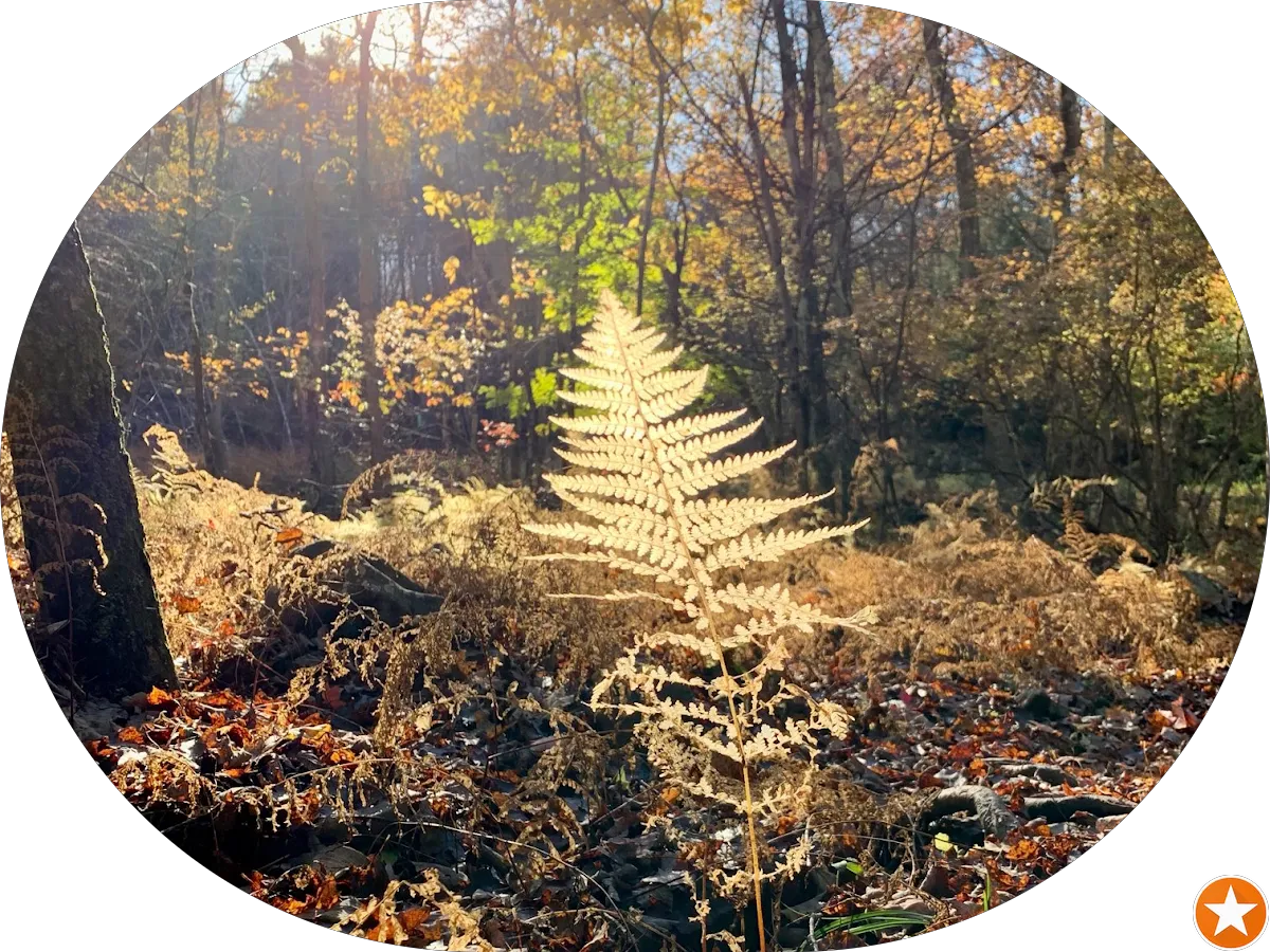 Ronnie McLaughlin Dance Studio photo 5