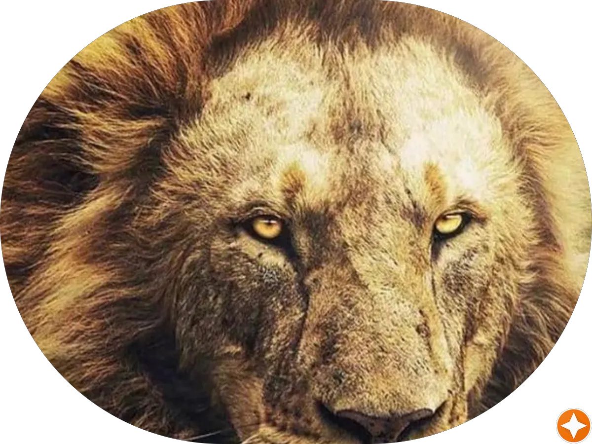 Roosevelt Paper Co photo 5