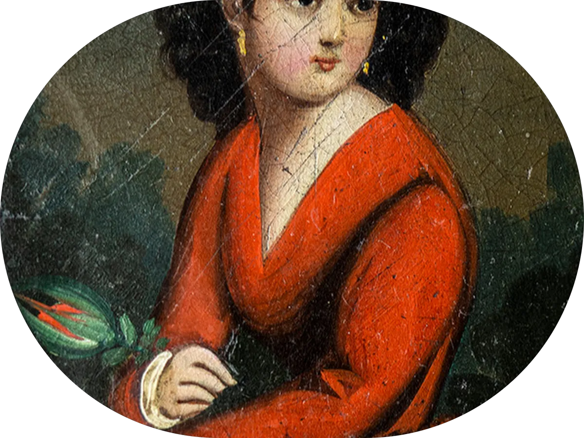 Root-A-Drain photo 2