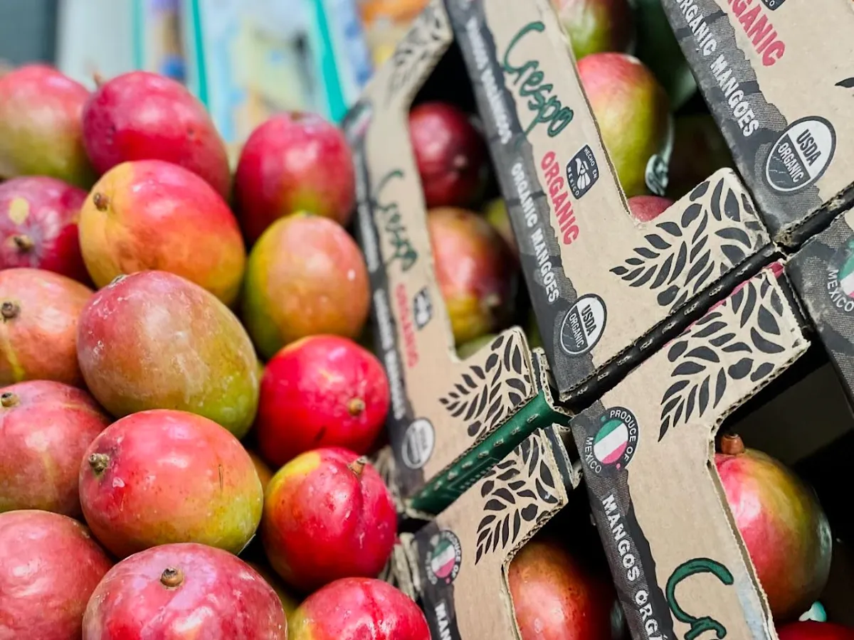 Rooted Wellness photo 2