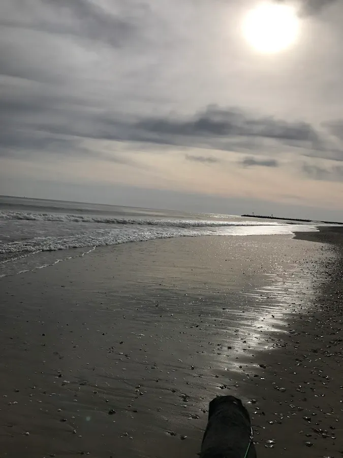 Rooted Works Counseling photo 2