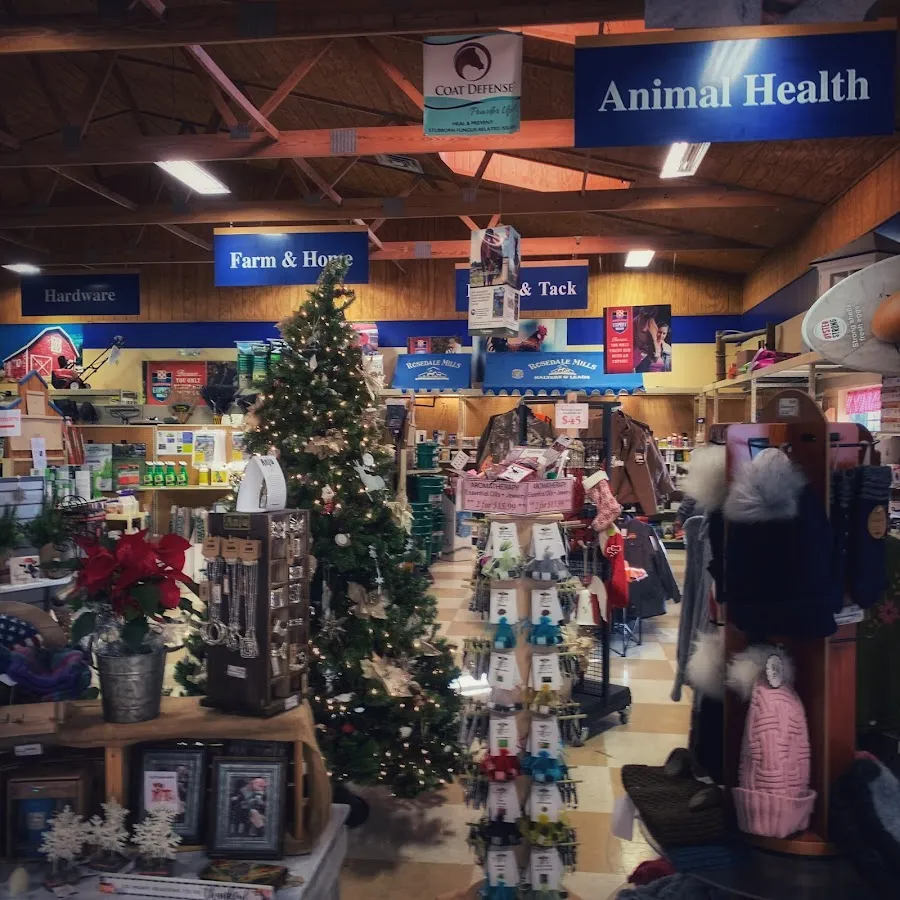 Rosedale Town & Country photo 2