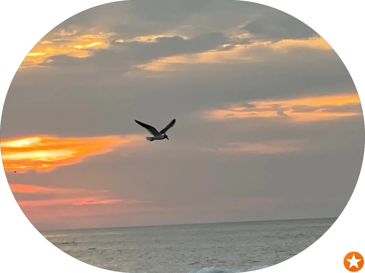 Rosedale Town & Country photo 4