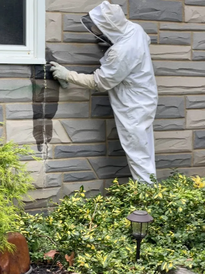 Ross Environmental Solutions