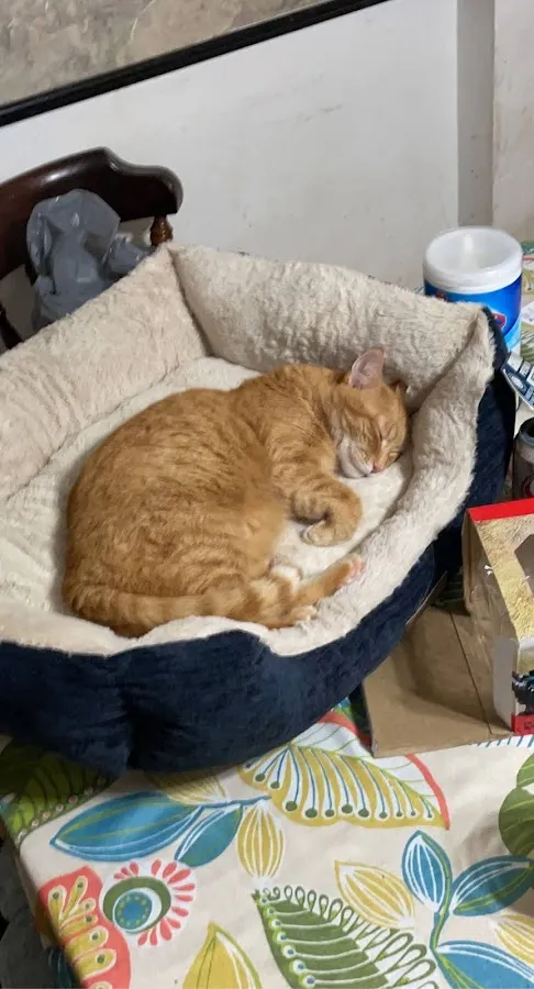 Rothman Animal Hospital