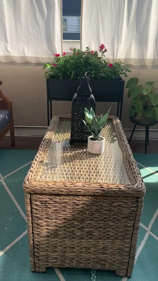 Rowhouse Growhouse photo 3