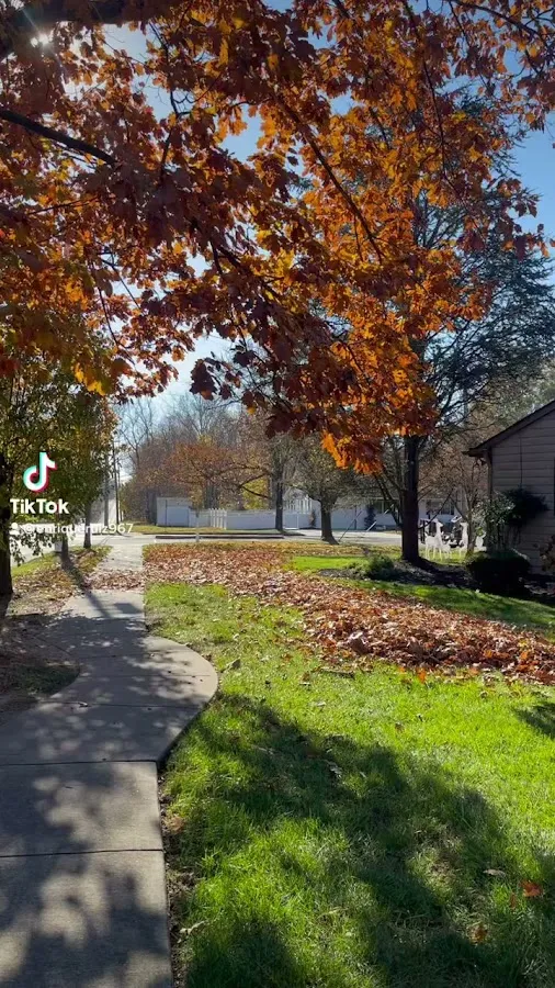 RUIZ LANDSCAPING & LAWN CARE LLC photo 4