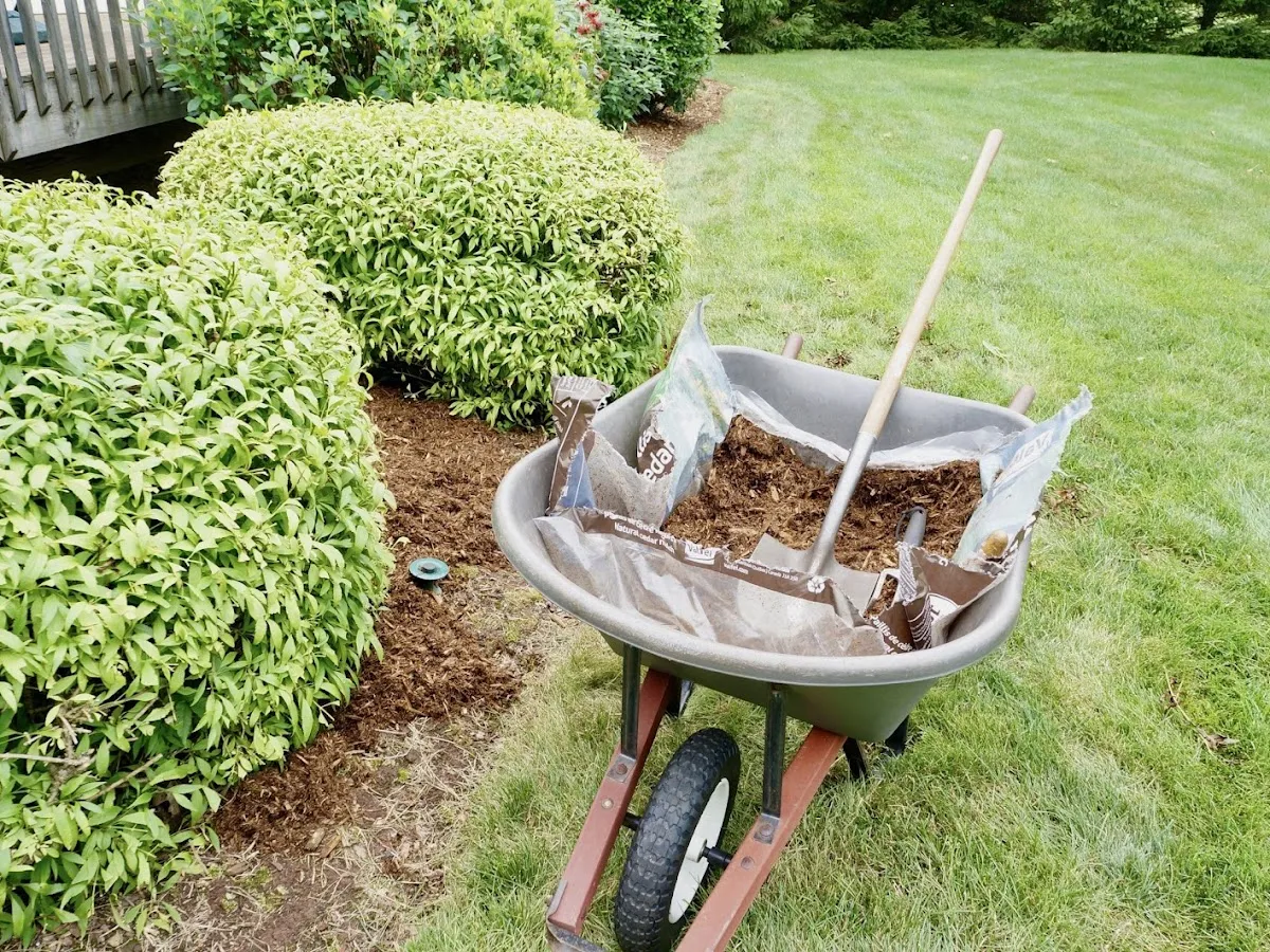 R.v.Ellis Pressure Washing & Landscaping photo 3