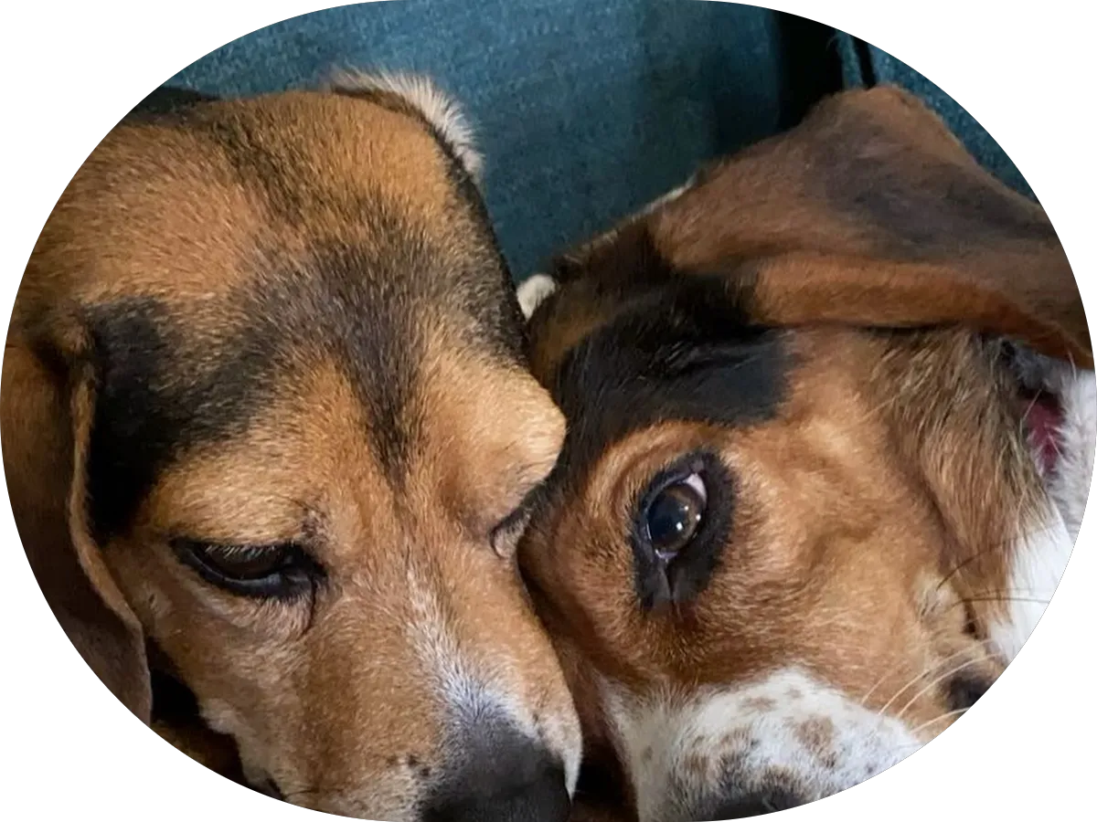 Sabai Sabai Muay Thai photo 5