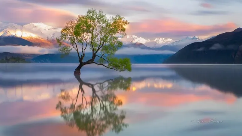 Sacred Serenity photo 2