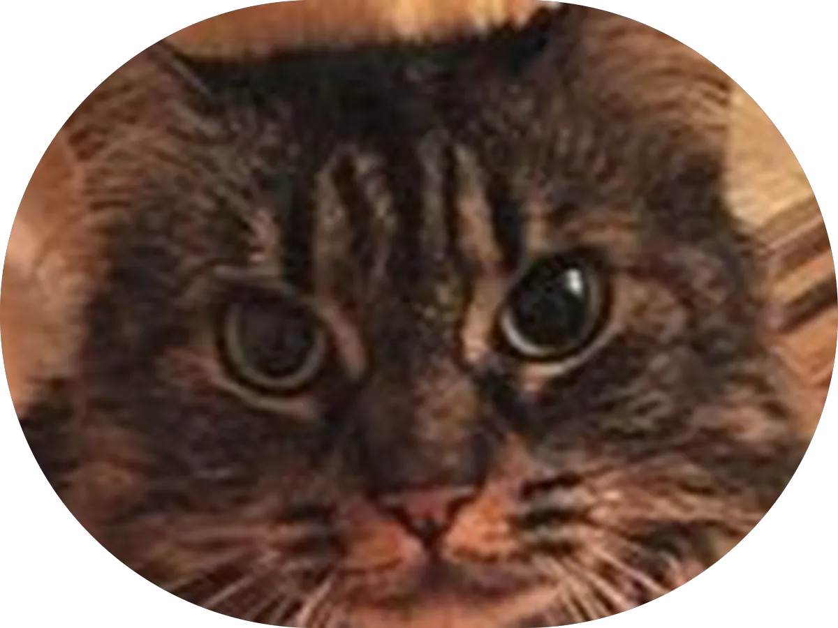 Saila Sunless Tans photo 3