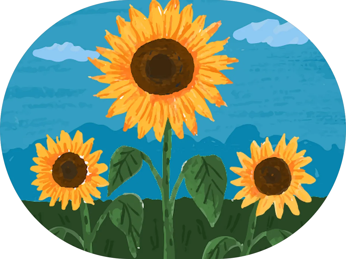 Salone Dei Capelli photo 5