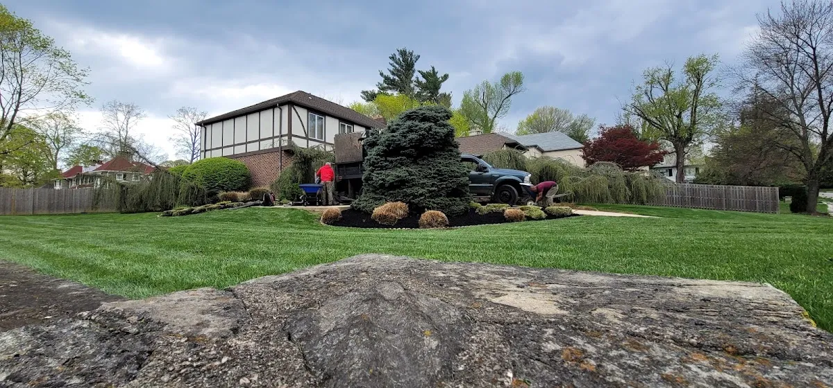 Sanchez Landscaping photo 3