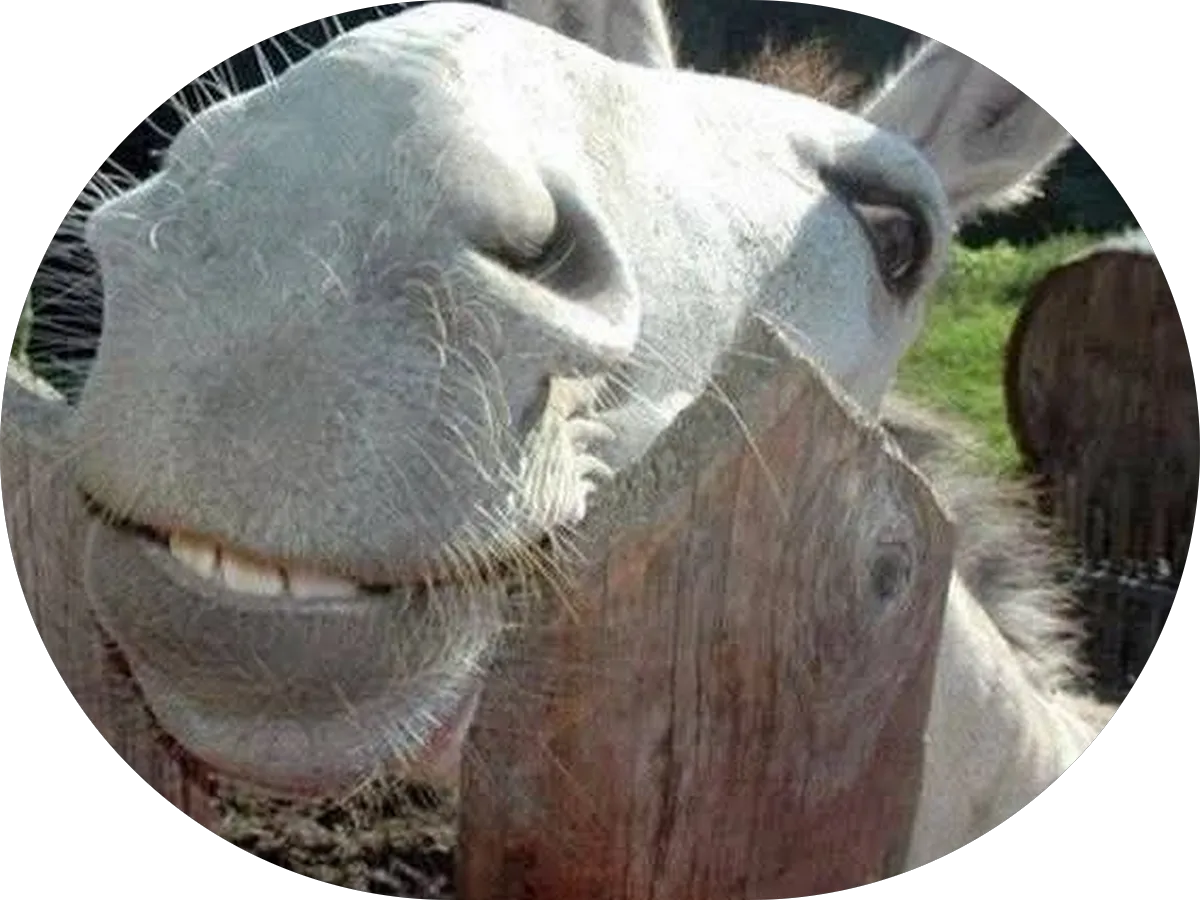 Sander M. Cohen, M.D. photo 4