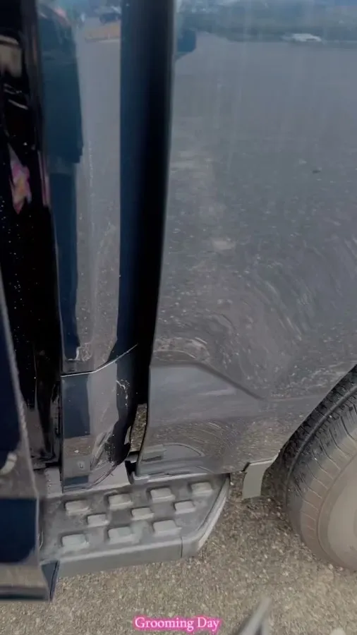 Sassy Paws Dog Grooming LLC photo 3