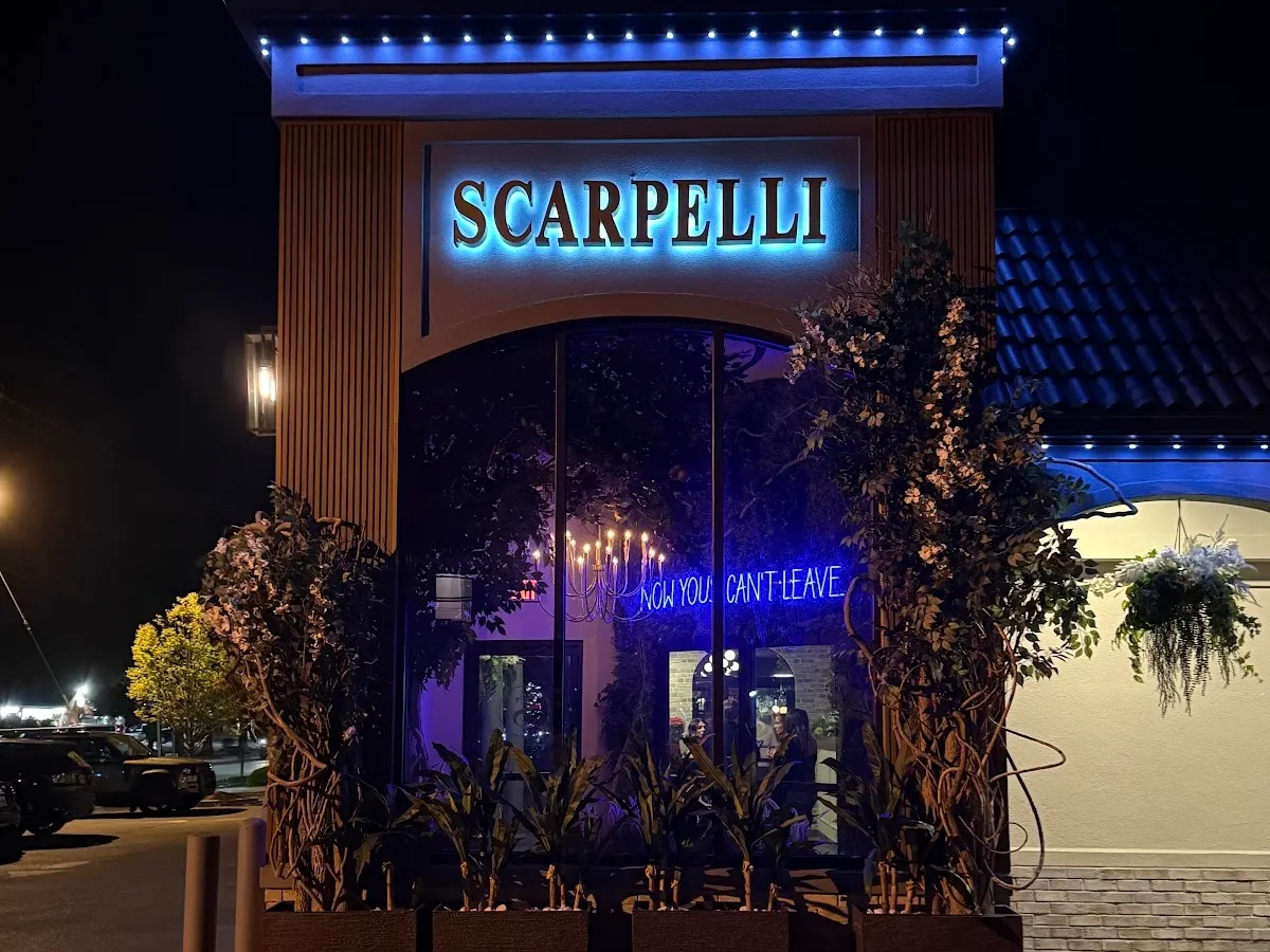 Scarpelli Hammonton