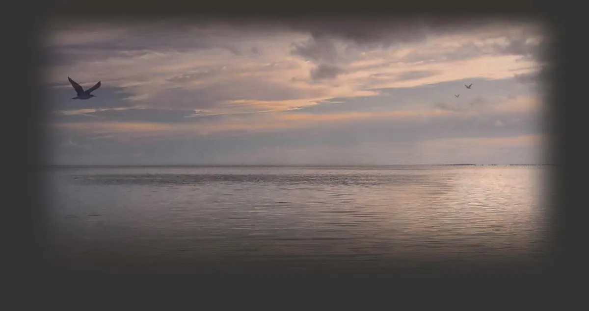 Sea Gear Marine Supply photo 3