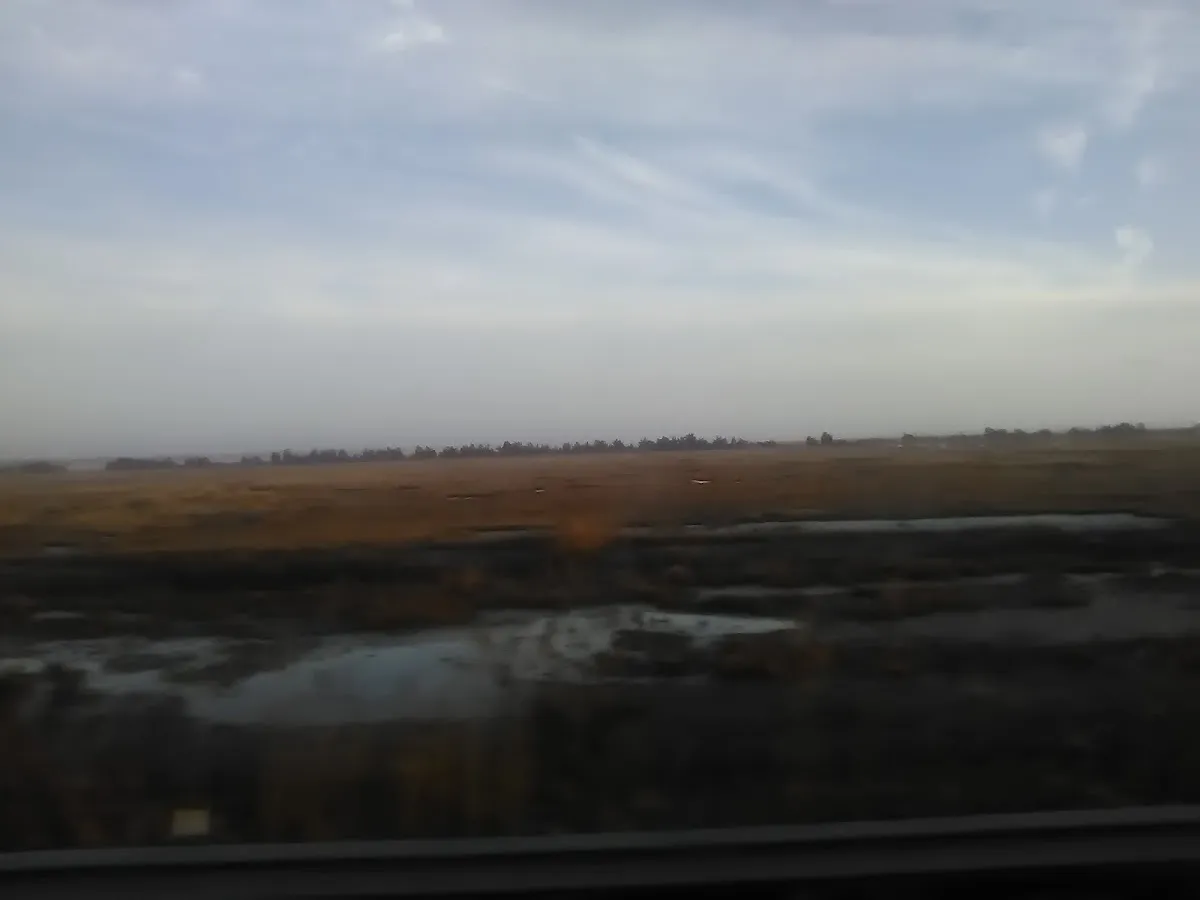 Sea Islander Condominium Association