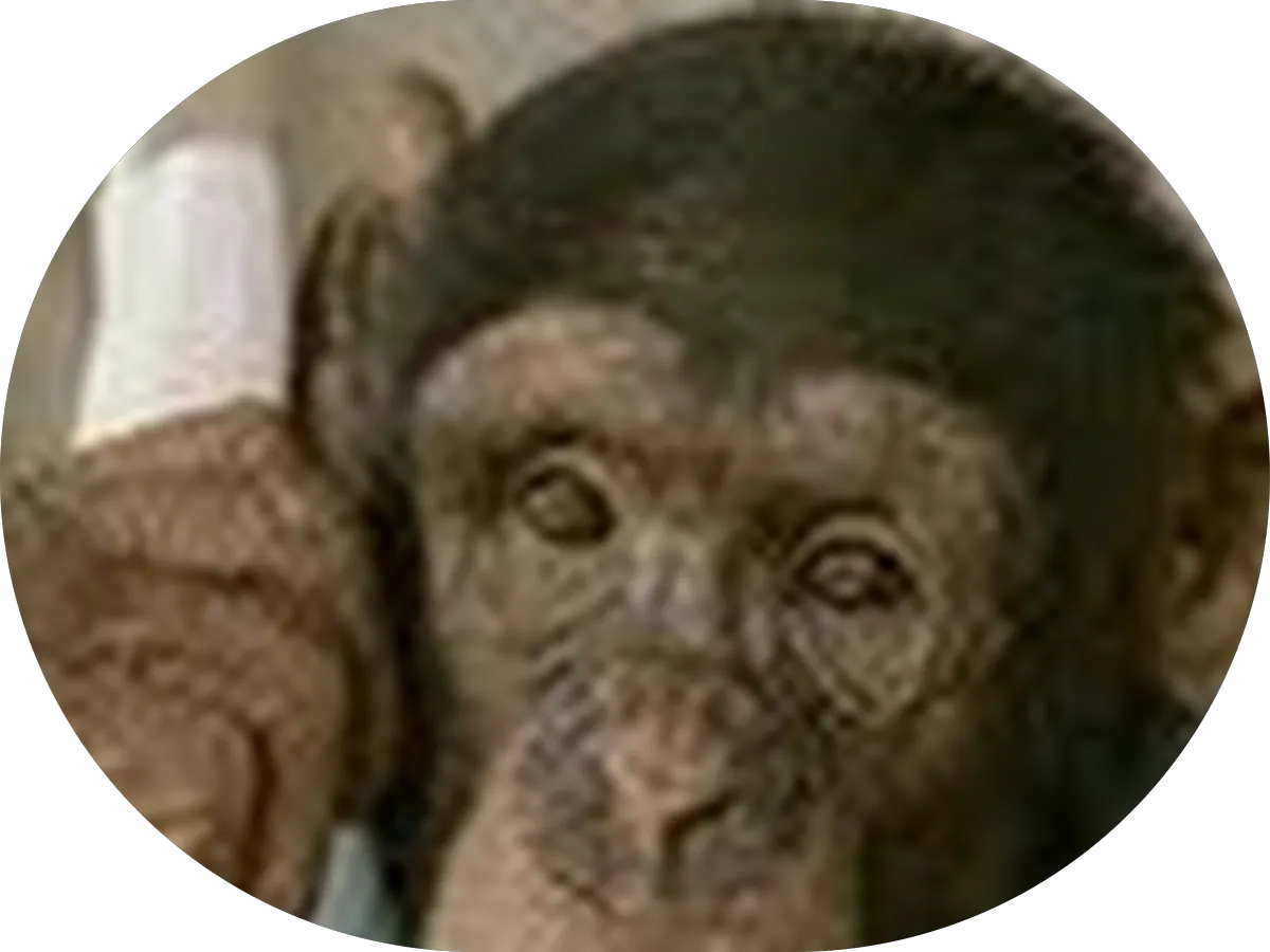 Sea Islander Condominium Association photo 2