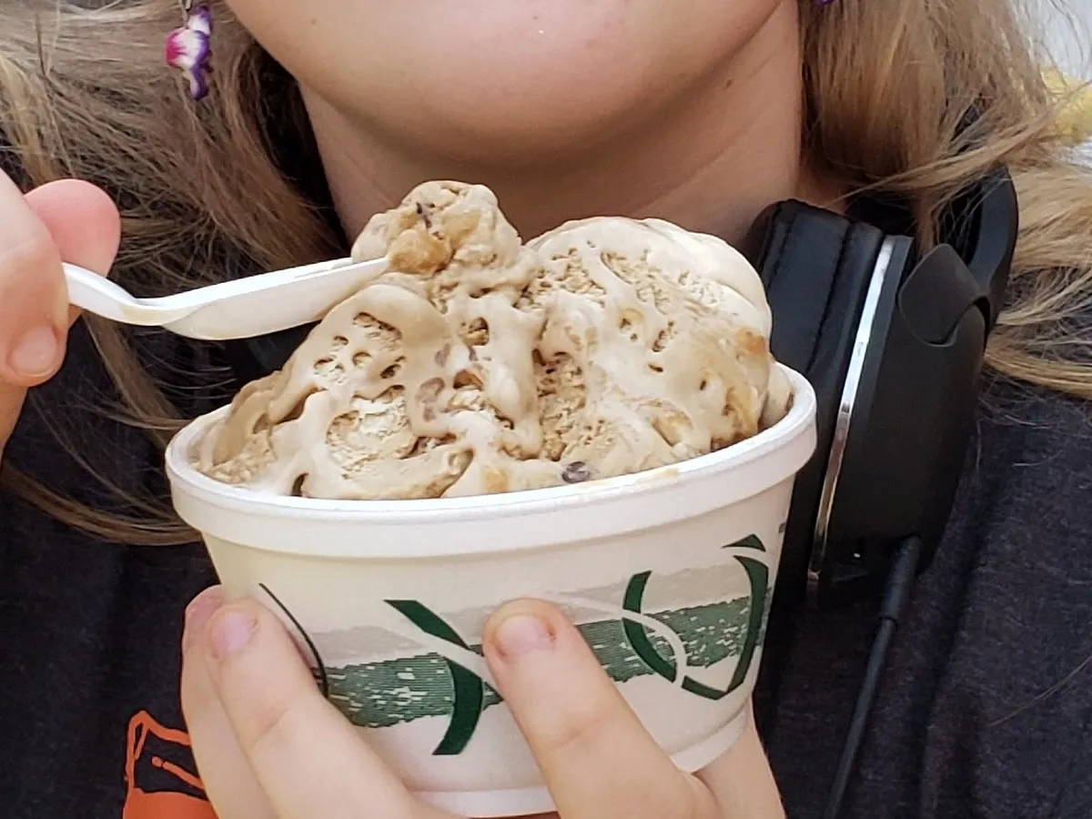 Sea Shell Ice Cream photo 4