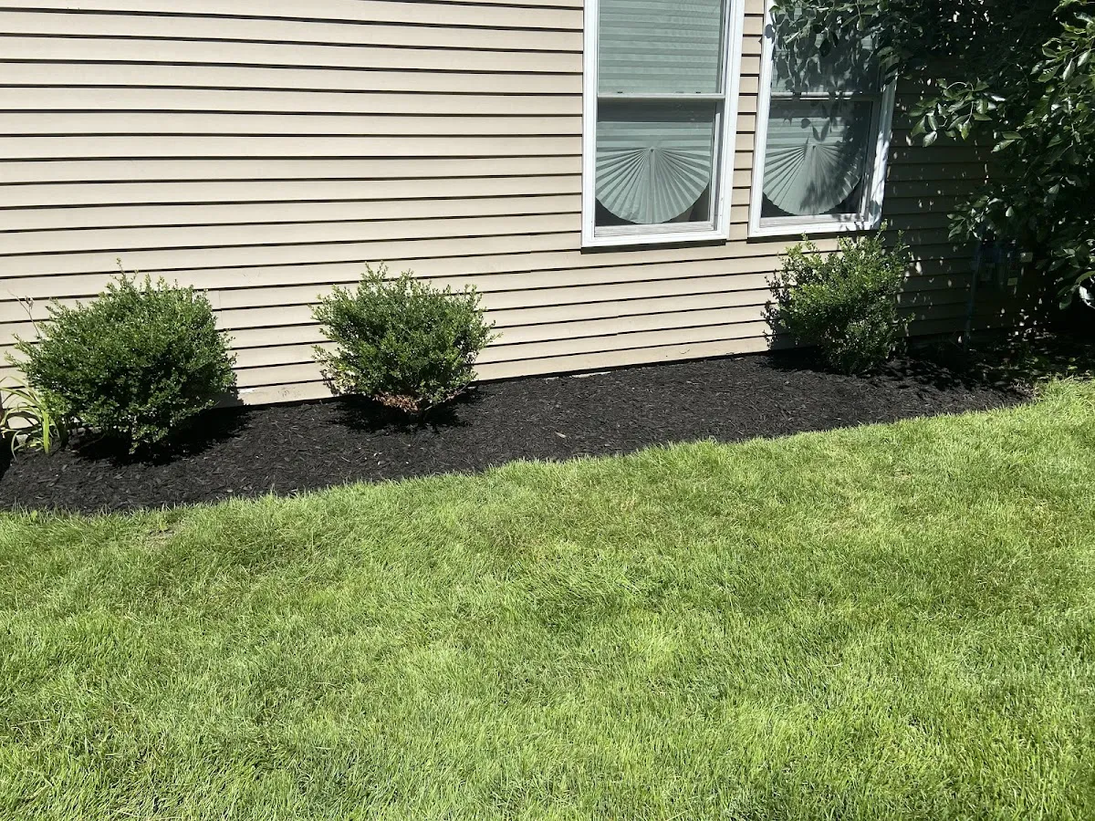 Sean's Lawn Care photo 4