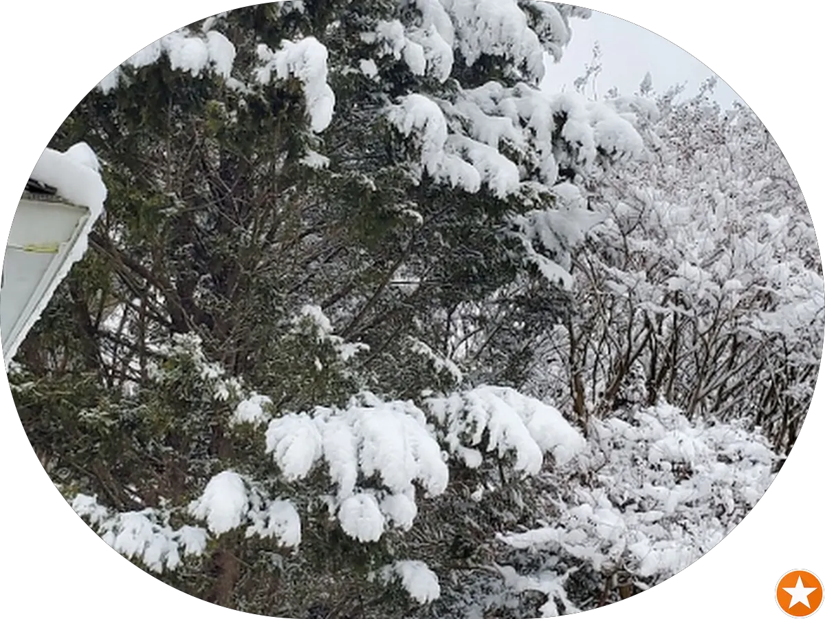 Sears Appliance Repair photo 5