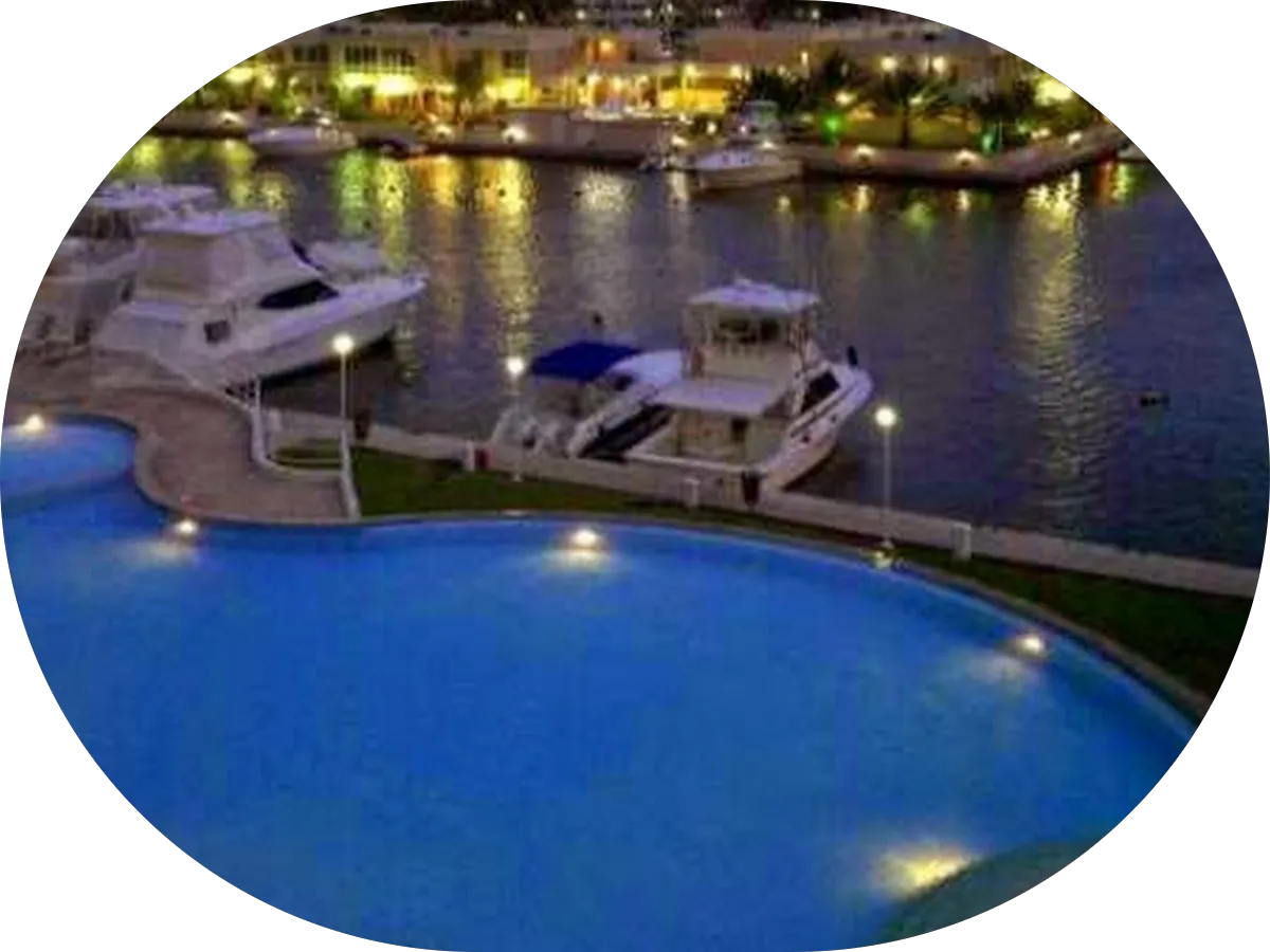 Seguro America photo 3