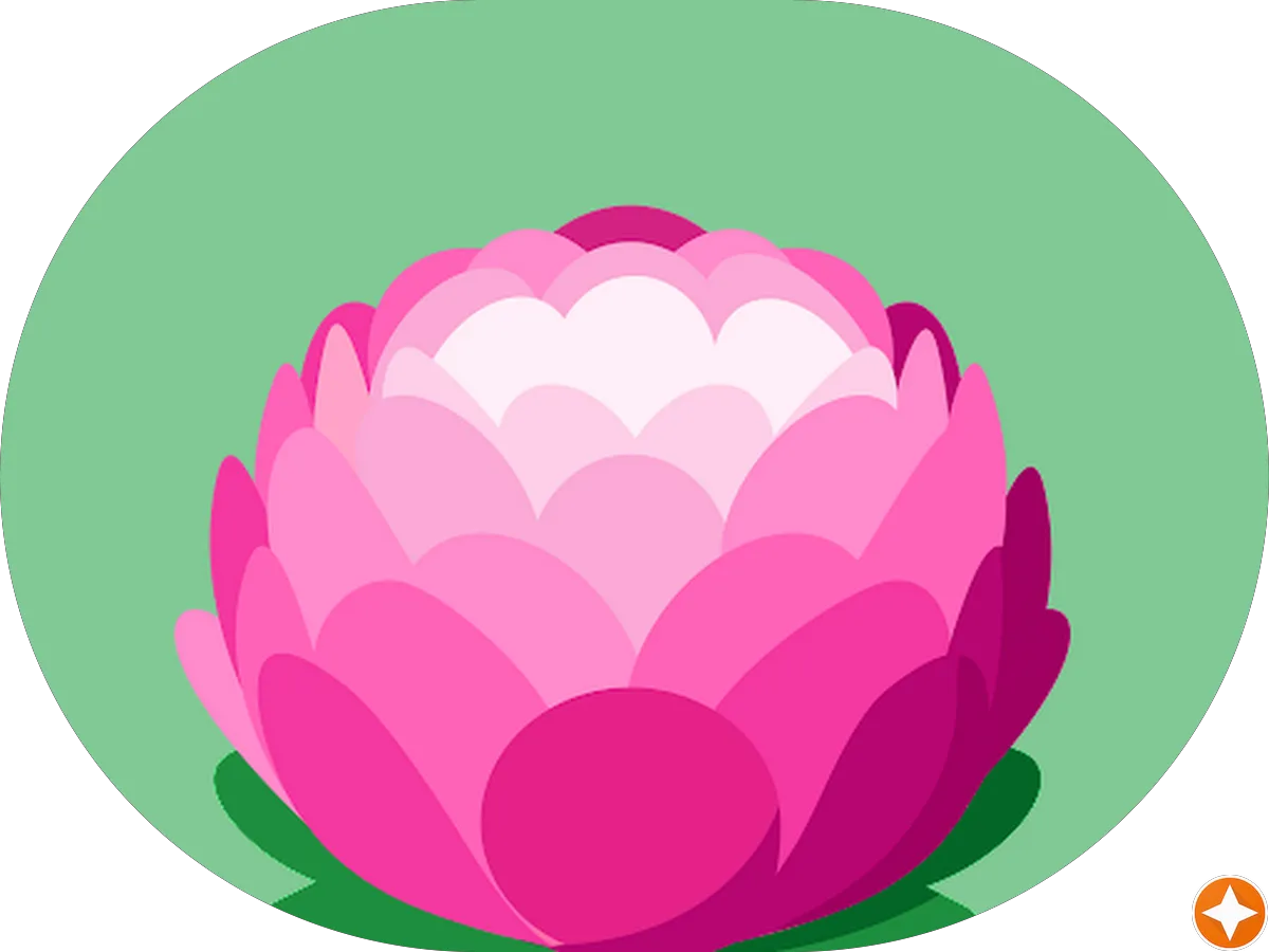 Semper Clean Cans photo 5