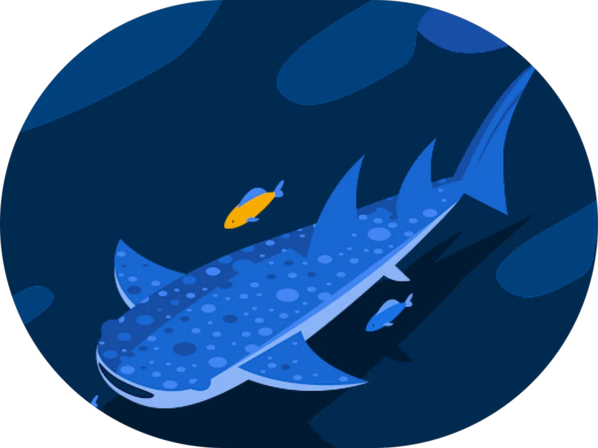 Semper Marine Detachment 205 photo 3