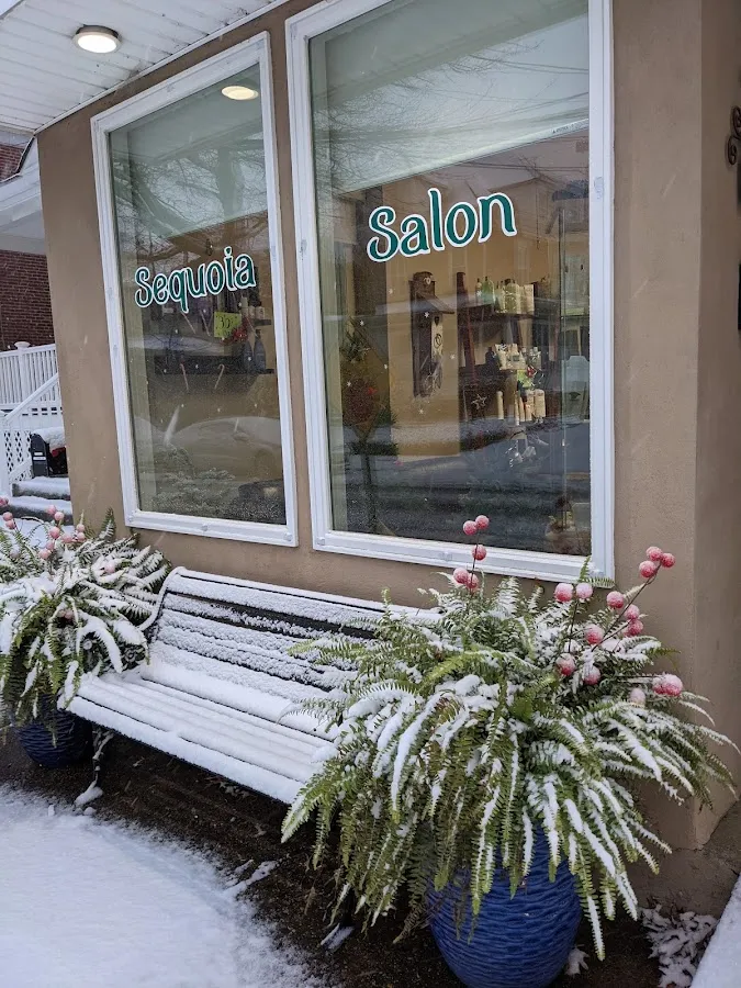 Sequoia Hair Salon LLC photo 2