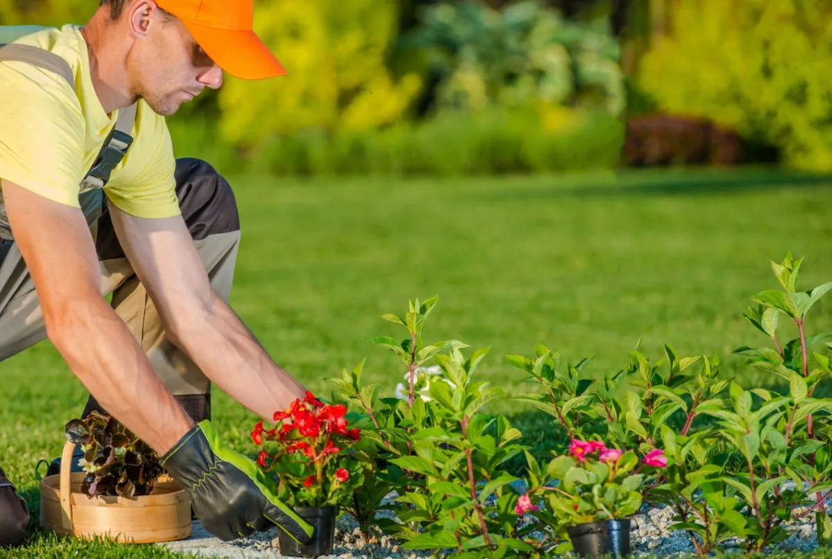 Sequoia Landscaping photo 2