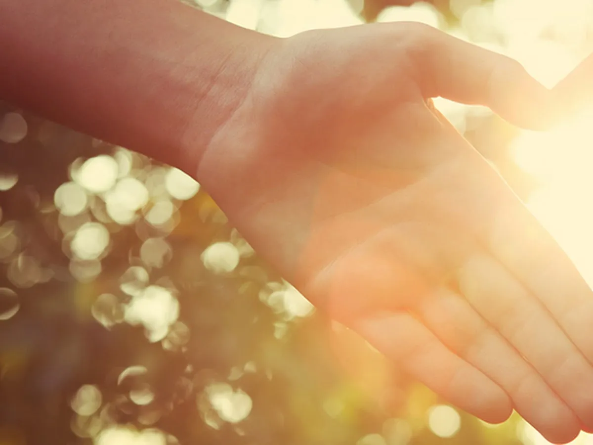 Serenity Gardens Counseling Services photo 3