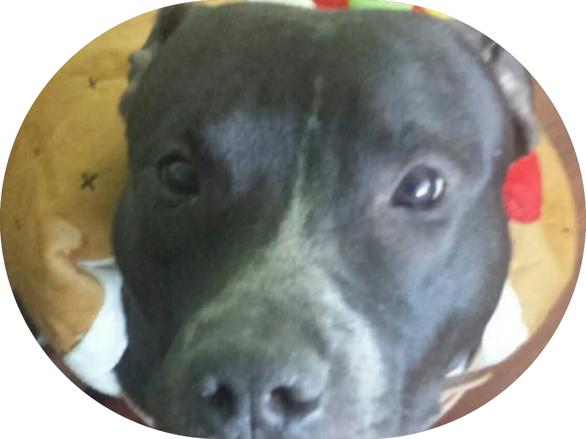 Serenity Health Primary Care photo 3