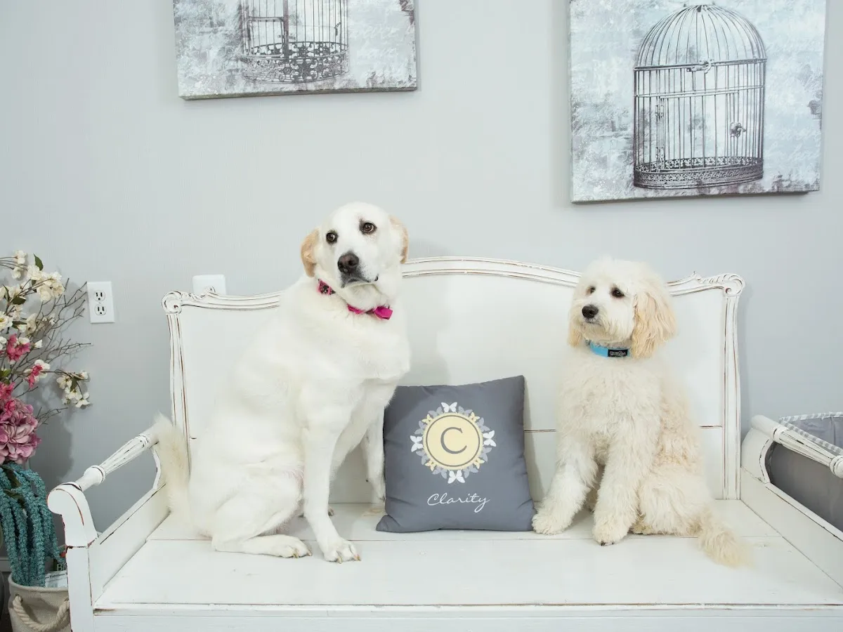 Serenity Psychotherapy photo 5